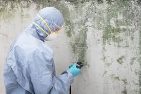 Mold Removal for HVAC Installations in Bayonne, NJ